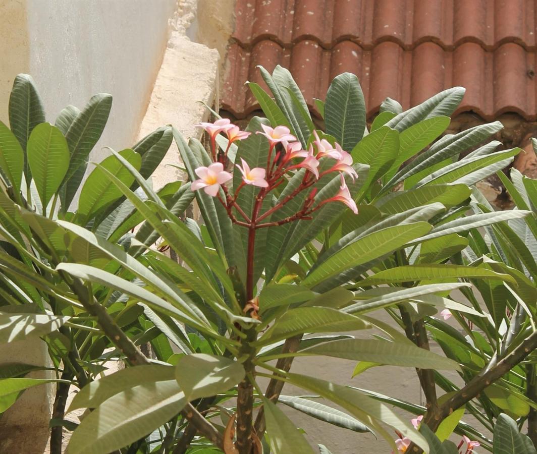 Apartament Casa La Victoria Malaga Zewnętrze zdjęcie